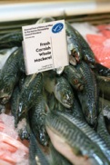 MSC_certified_mackerel