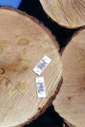 logs